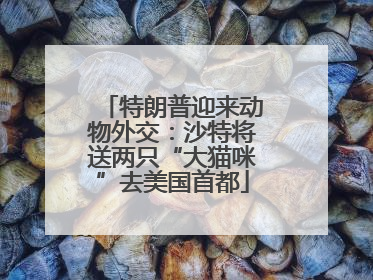 特朗普迎来动物外交：沙特将送两只“大猫咪”去美国首都