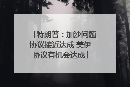 特朗普：加沙问题协议接近达成 美伊协议有机会达成