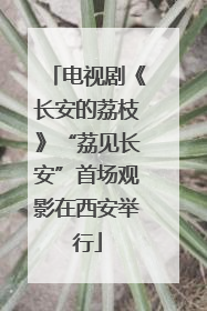 电视剧《长安的荔枝》“荔见长安”首场观影在西安举行
