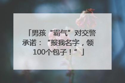 男孩“霸气”对交警承诺：“报我名字，领100个包子！”