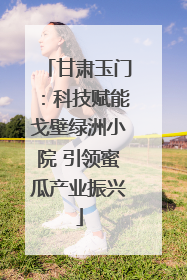 甘肃玉门：科技赋能戈壁绿洲小院 引领蜜瓜产业振兴
