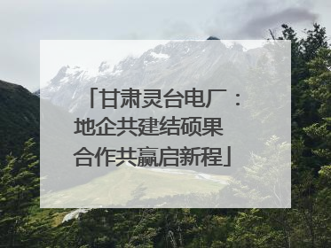 甘肃灵台电厂：地企共建结硕果 合作共赢启新程