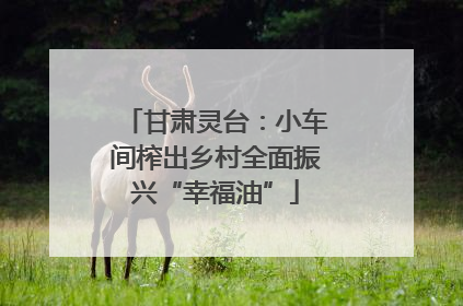 甘肃灵台：小车间榨出乡村全面振兴“幸福油”