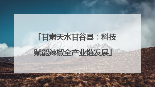 甘肃天水甘谷县：科技赋能辣椒全产业链发展