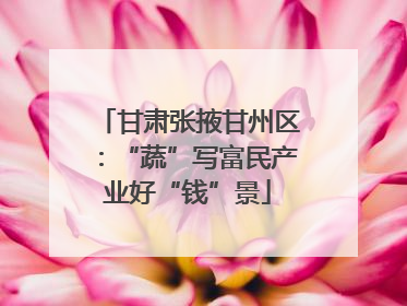 甘肃张掖甘州区：“蔬”写富民产业好“钱”景