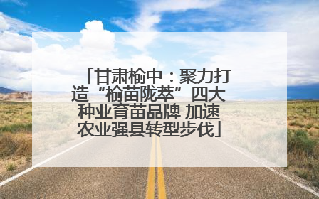 甘肃榆中：聚力打造“榆苗陇萃”四大种业育苗品牌 加速农业强县转型步伐