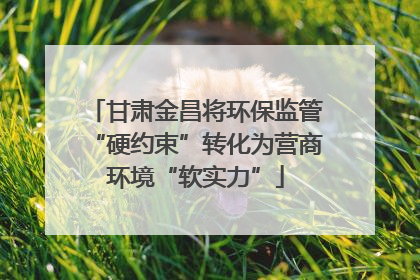 甘肃金昌将环保监管“硬约束”转化为营商环境“软实力”