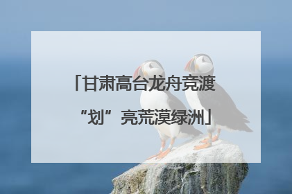 甘肃高台龙舟竞渡“划”亮荒漠绿洲