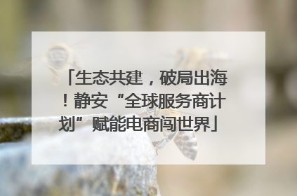 生态共建，破局出海！静安“全球服务商计划”赋能电商闯世界