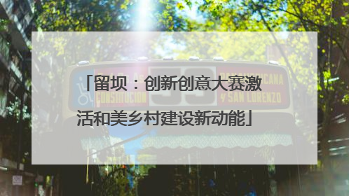 留坝：创新创意大赛激活和美乡村建设新动能
