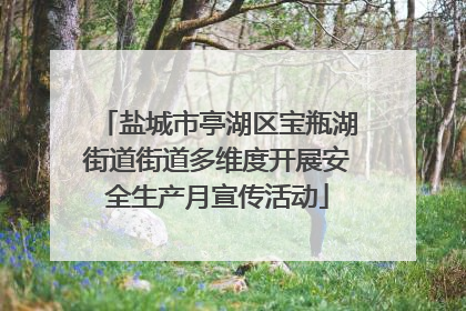 盐城市亭湖区宝瓶湖街道街道多维度开展安全生产月宣传活动