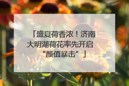 盛夏荷香浓！济南大明湖荷花率先开启“颜值暴击”