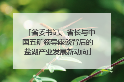 省委书记、省长与中国五矿领导座谈背后的盐湖产业发展新动向