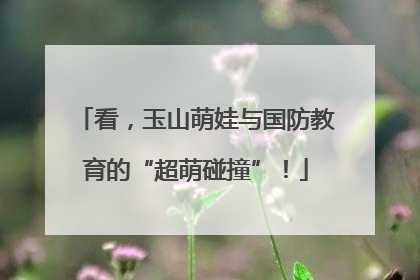 看，玉山萌娃与国防教育的“超萌碰撞”！