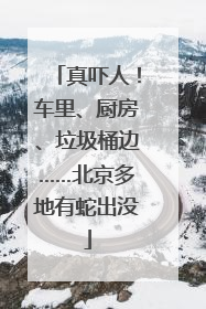真吓人！车里、厨房、垃圾桶边……北京多地有蛇出没