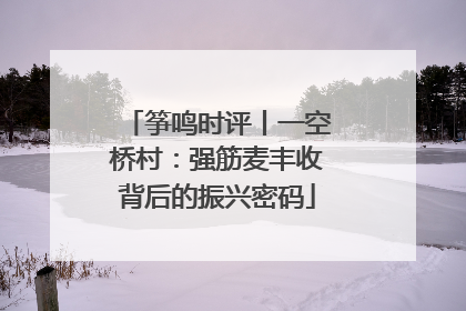 筝鸣时评丨一空桥村：强筋麦丰收背后的振兴密码