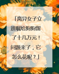 离异女子立遗嘱给狗狗留了十几万元！问题来了，它怎么花呢？