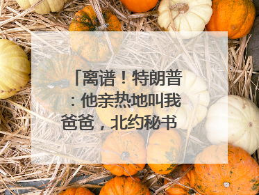 离谱！特朗普：他亲热地叫我爸爸，北约秘书长：我没有