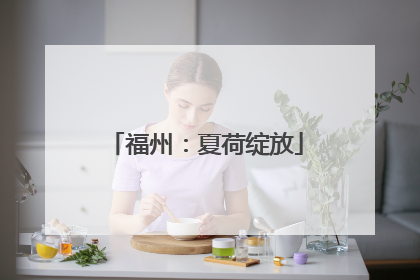 福州：夏荷绽放