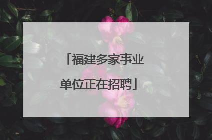 福建多家事业单位正在招聘