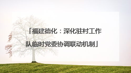 福建德化：深化驻村工作队临时党委协调联动机制