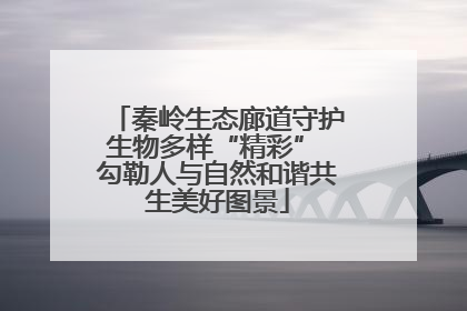 秦岭生态廊道守护生物多样“精彩” 勾勒人与自然和谐共生美好图景