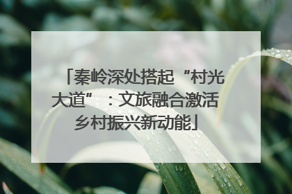 秦岭深处搭起“村光大道”：文旅融合激活乡村振兴新动能