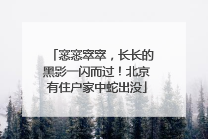 窸窸窣窣，长长的黑影一闪而过！北京有住户家中蛇出没