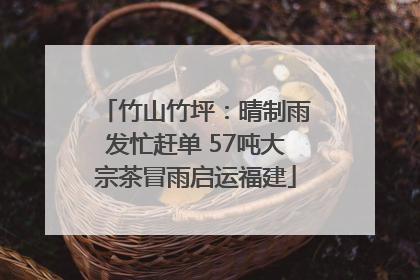 竹山竹坪：晴制雨发忙赶单 57吨大宗茶冒雨启运福建