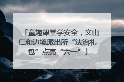 童趣课堂学安全，文山仁和边境派出所“法治礼包”点亮“六一”
