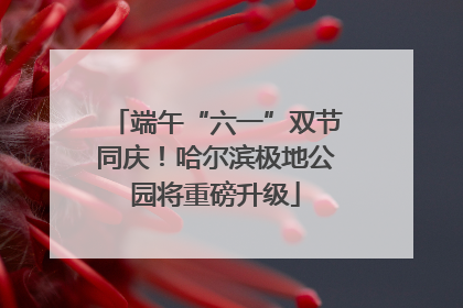 端午“六一”双节同庆！哈尔滨极地公园将重磅升级
