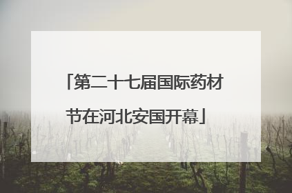 第二十七届国际药材节在河北安国开幕
