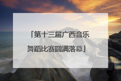 第十三届广西音乐舞蹈比赛圆满落幕