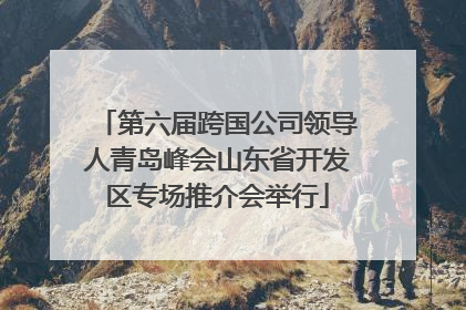 第六届跨国公司领导人青岛峰会山东省开发区专场推介会举行