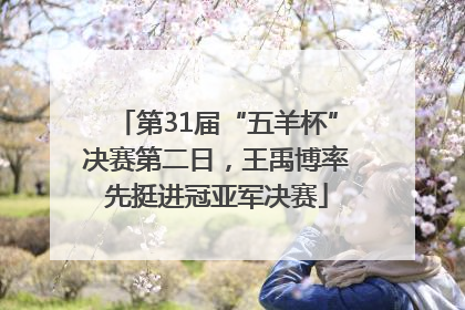 第31届“五羊杯”决赛第二日，王禹博率先挺进冠亚军决赛