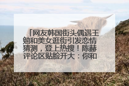 网友韩国街头偶遇王勉和美女逛街引发恋情猜测，登上热搜！陈赫评论区贴脸开大：你和谁逛街？我也想知道