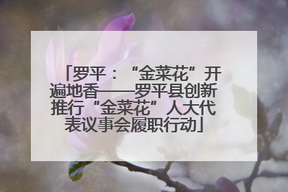 罗平：“金菜花”开遍地香——罗平县创新推行“金菜花”人大代表议事会履职行动