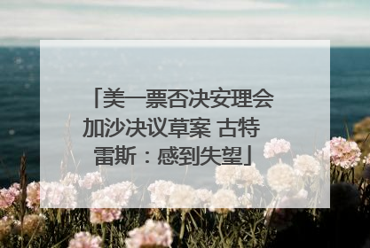 美一票否决安理会加沙决议草案 古特雷斯：感到失望