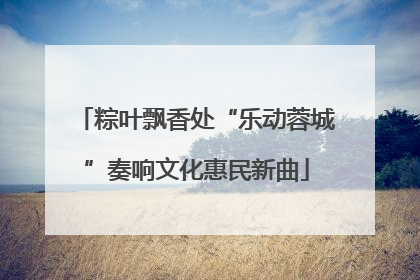 粽叶飘香处“乐动蓉城”奏响文化惠民新曲