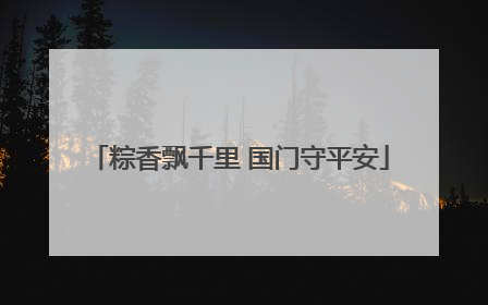 粽香飘千里 国门守平安