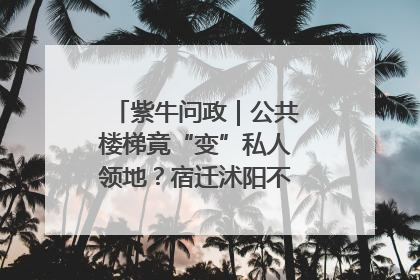 紫牛问政｜公共楼梯竟“变”私人领地？宿迁沭阳不动产登记引质疑