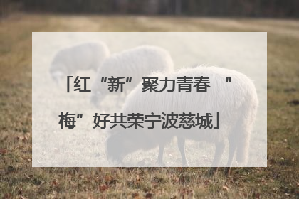 红“新”聚力青春 “梅”好共荣宁波慈城
