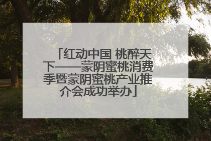 红动中国 桃醉天下——蒙阴蜜桃消费季暨蒙阴蜜桃产业推介会成功举办