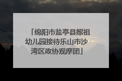 绵阳市盐亭县嫘祖幼儿园接待乐山市沙湾区政协观摩团