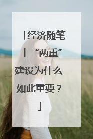 经济随笔丨“两重”建设为什么如此重要？