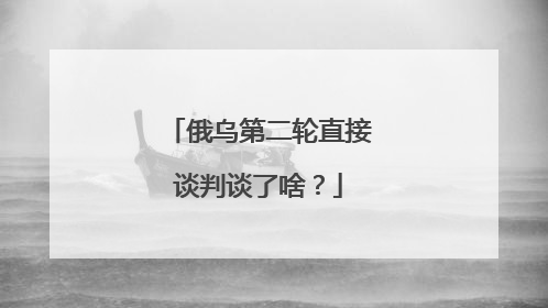 俄乌第二轮直接谈判谈了啥？