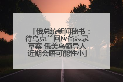俄总统新闻秘书：待乌克兰回应备忘录草案 俄美乌领导人近期会晤可能性小