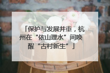 保护与发展并重，杭州在“依山理水”间唤醒“古村新生”