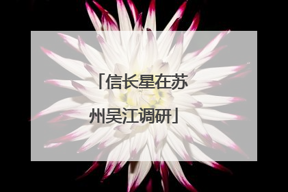 信长星在苏州吴江调研