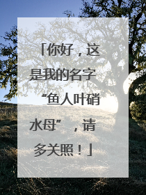你好，这是我的名字“鱼人叶硝水母”，请多关照！